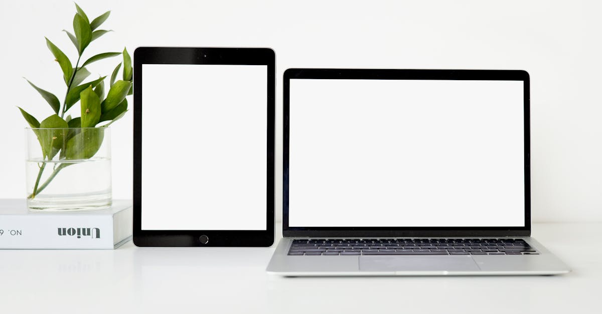 The Importance of Professional Help for Cracked Screens
